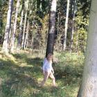 zdjęcie nr 73