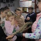 zdjęcie nr 189
