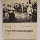zdjęcie nr 37