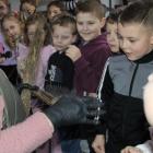 zdjęcie nr 126