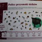 zdjęcie nr 27