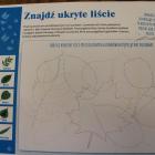 zdjęcie nr 50