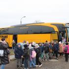 zdjęcie nr 10