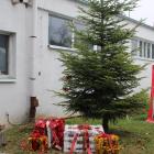 zdjęcie nr 11