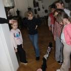 zdjęcie nr 8