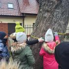 zdjęcie nr 27