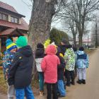 zdjęcie nr 31