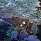 zdjęcie nr 22