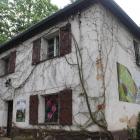zdjęcie nr 79