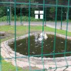 zdjęcie nr 14