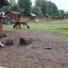zdjęcie nr 18