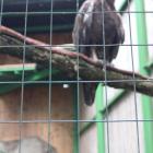 zdjęcie nr 47