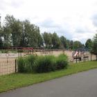 zdjęcie nr 50