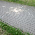 zdjęcie nr 9