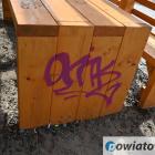 Fotka nr 2 z 12