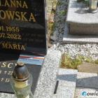 Fotka nr 4 z 11