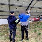 Fotka nr 1 z 2