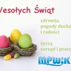 Fotka nr 3 z 7