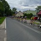zdjęcie nr 12