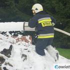 zdjęcie nr 17