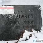 zdjęcie nr 11