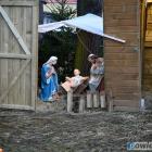 Fotka nr 0 z 12