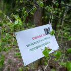 zdjęcie nr 48