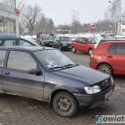 Fotka nr 2 z 8