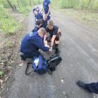 zdjęcie nr 14