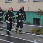 zdjęcie nr 14