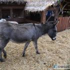 zdjęcie nr 42