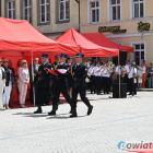 zdjęcie nr 49