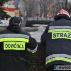 zdjęcie nr 10