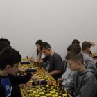 Fotka nr 4 z 20