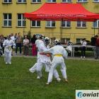 zdjęcie nr 84