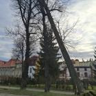 Fotka nr 1 z 5
