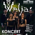 zdjęcie nr 1