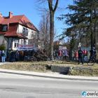 zdjęcie nr 8