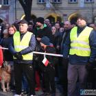 zdjęcie nr 13