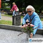 zdjęcie nr 12