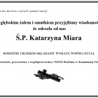 Fotka nr 1 z 3