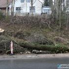 zdjęcie nr 14