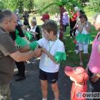 zdjęcie nr 13