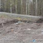 Fotka nr 2 z 10