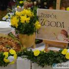 zdjęcie nr 27