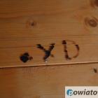 zdjęcie nr 11