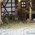 zdjęcie nr 48