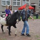 zdjęcie nr 13