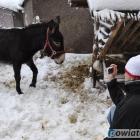 zdjęcie nr 13