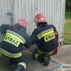 zdjęcie nr 32